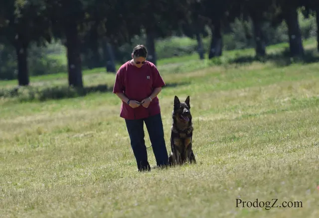 April 20, 2015 RVSC Schutzhund Trial on April 20, 2015 — the trial score board and field setup — photo 021