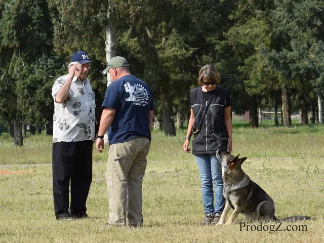 April 20, 2015 RVSC Schutzhund Trial on April 20, 2015 — a working dog and handler performing a Schutzhund trial exercise — photo 056