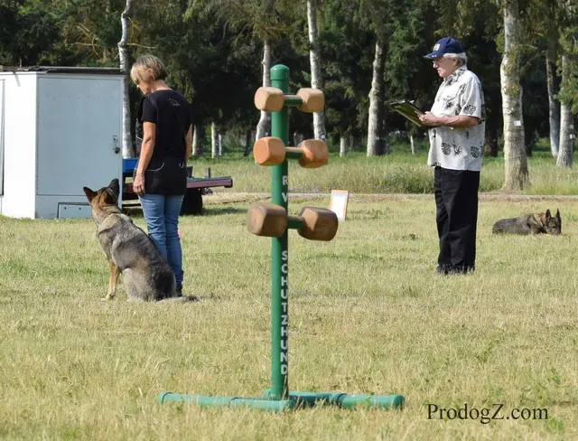 April 20, 2015 RVSC Schutzhund Trial on April 20, 2015 — a working dog moving through a formal field routine — photo 058