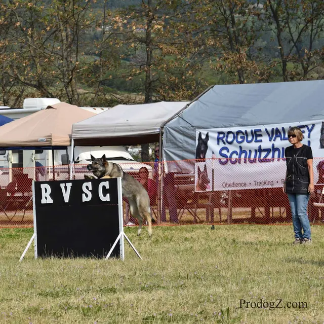 April 20, 2015 RVSC Schutzhund Trial on April 20, 2015 — a working dog and handler performing a Schutzhund trial exercise — photo 061