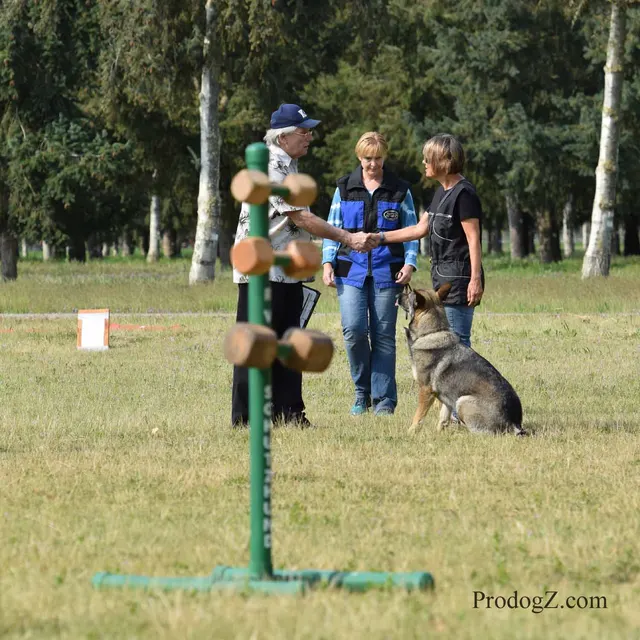 April 20, 2015 RVSC Schutzhund Trial on April 20, 2015 — handler-and-dog teamwork during the obedience portion of the trial — photo 069