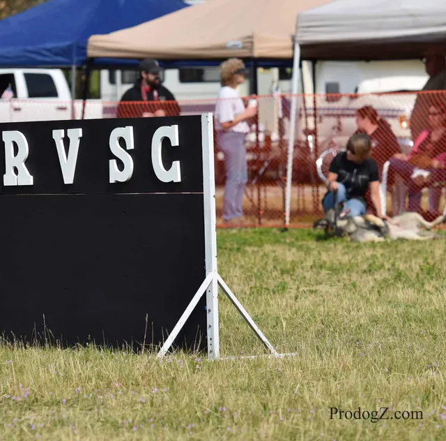 April 20, 2015 RVSC Schutzhund Trial on April 20, 2015 — a dog holding position while the handler completes a trial exercise — photo 070