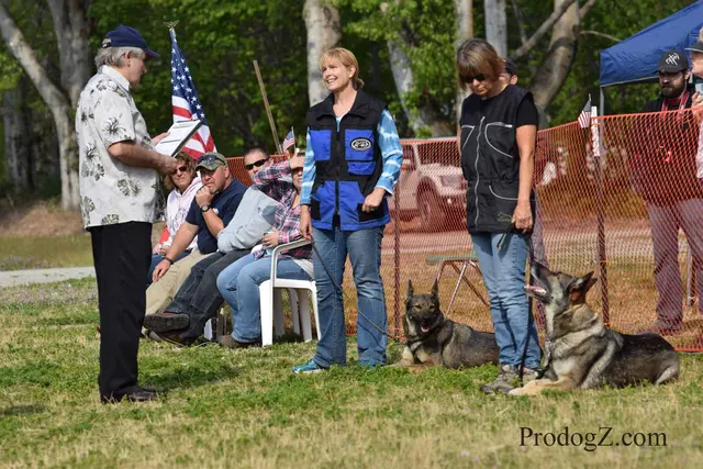April 20, 2015 RVSC Schutzhund Trial on April 20, 2015 — a working dog moving through a formal field routine — photo 073