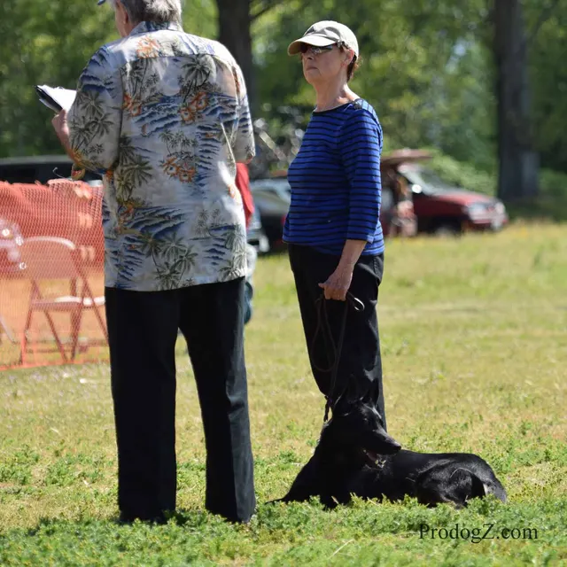 April 20, 2015 RVSC Schutzhund Trial on April 20, 2015 — handler-and-dog teamwork during the obedience portion of the trial — photo 084