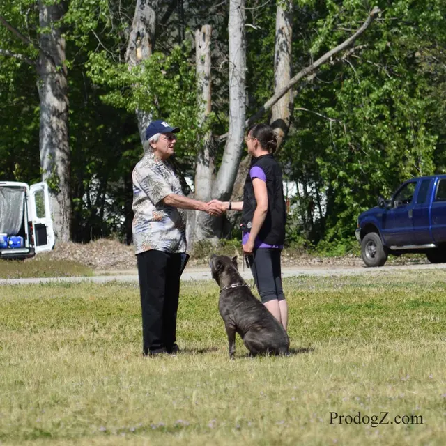 April 20, 2015 RVSC Schutzhund Trial on April 20, 2015 — a working dog and handler performing a Schutzhund trial exercise — photo 086