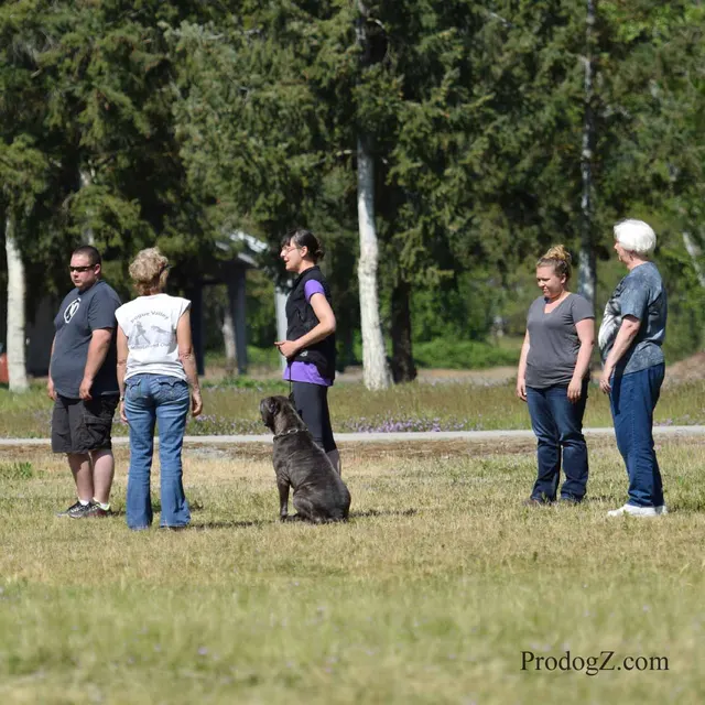 April 20, 2015 RVSC Schutzhund Trial on April 20, 2015 — obedience position and handler control on the trial field — photo 092