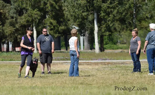 April 20, 2015 RVSC Schutzhund Trial on April 20, 2015 — a working dog and handler performing a Schutzhund trial exercise — photo 096