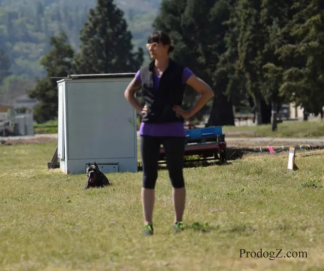 April 20, 2015 RVSC Schutzhund Trial on April 20, 2015 — handler-and-dog teamwork during the obedience portion of the trial — photo 104