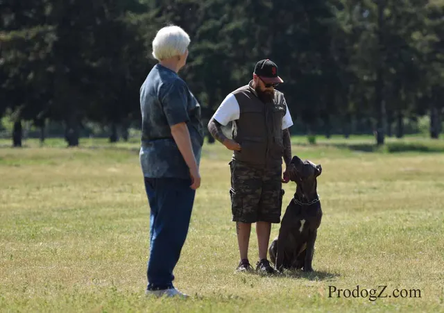April 20, 2015 RVSC Schutzhund Trial on April 20, 2015 — a working dog and handler performing a Schutzhund trial exercise — photo 111