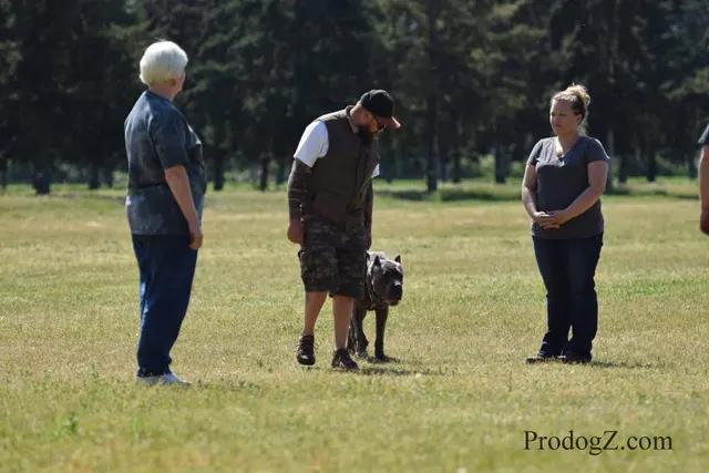 April 20, 2015 RVSC Schutzhund Trial on April 20, 2015 — obedience position and handler control on the trial field — photo 112