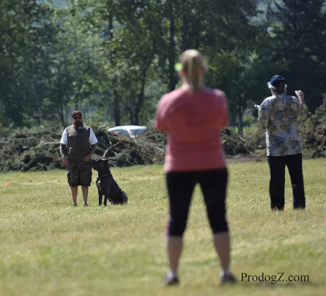 April 20, 2015 RVSC Schutzhund Trial on April 20, 2015 — a working dog and handler performing a Schutzhund trial exercise — photo 121