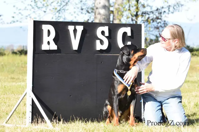 April 20, 2015 RVSC Schutzhund Trial on April 20, 2015 — a handler and working dog between scored exercises — photo 125