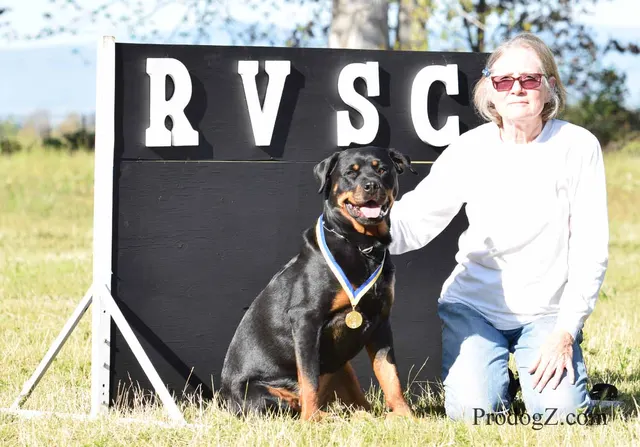 April 20, 2015 RVSC Schutzhund Trial on April 20, 2015 — a working dog and handler performing an obedience exercise — photo 126