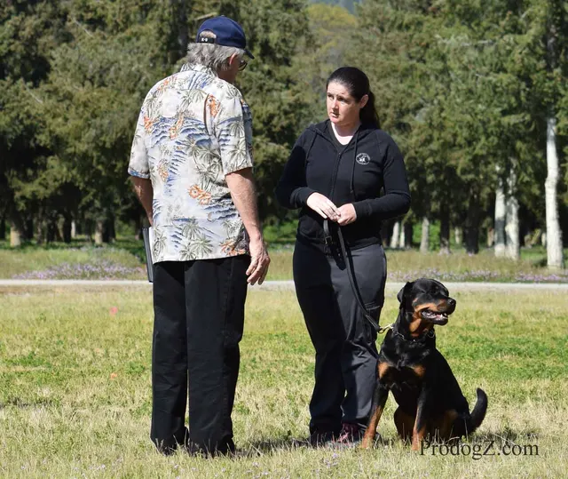 April 20, 2015 RVSC Schutzhund Trial on April 20, 2015 — handler control and attention during a formal trial routine — photo 132
