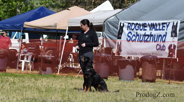 April 20, 2015 RVSC Schutzhund Trial on April 20, 2015 — trial officials observing a dog-and-handler team — photo 134