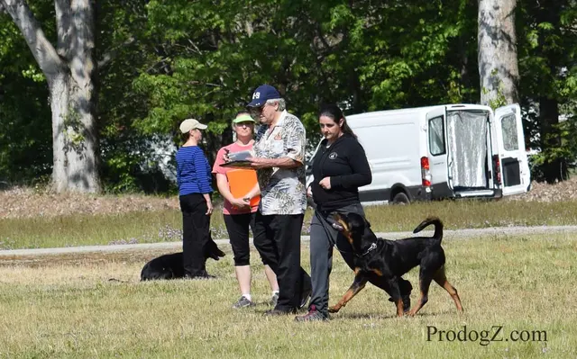 April 20, 2015 RVSC Schutzhund Trial on April 20, 2015 — a working dog and handler performing an obedience exercise — photo 136