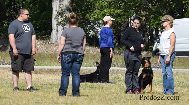 April 20, 2015 RVSC Schutzhund Trial on April 20, 2015 — trial officials observing a dog-and-handler team — photo 139