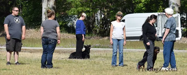 April 20, 2015 RVSC Schutzhund Trial on April 20, 2015 — a handler and working dog between scored exercises — photo 140