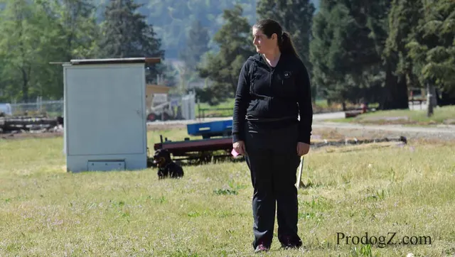 April 20, 2015 RVSC Schutzhund Trial on April 20, 2015 — handler control and attention during a formal trial routine — photo 147