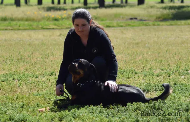 April 20, 2015 RVSC Schutzhund Trial on April 20, 2015 — handler control and attention during a formal trial routine — photo 152