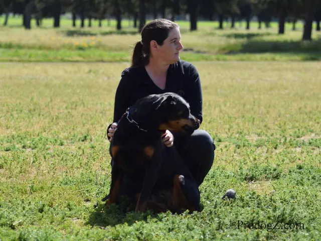 April 20, 2015 RVSC Schutzhund Trial on April 20, 2015 — trial officials observing a dog-and-handler team — photo 154