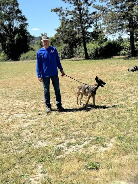 RVSC Schutzhund Trial — May 25, 2024 historical working-dog archive