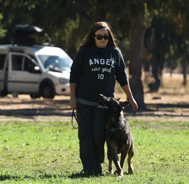 October 2016 Schutzhund Trial on October 8, 2016 — a handler working a black dog through an obedience exercise — photo 16