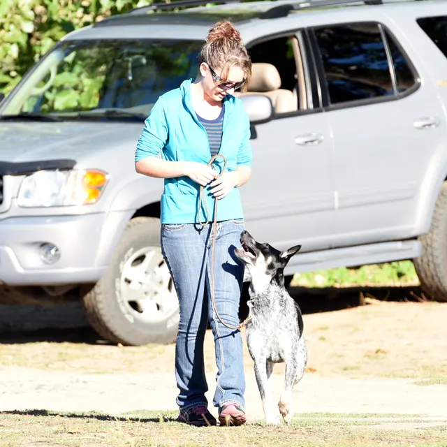 October 2016 Schutzhund Trial on October 8, 2016 — a handler and working dog in heel position at the trial field — photo 01