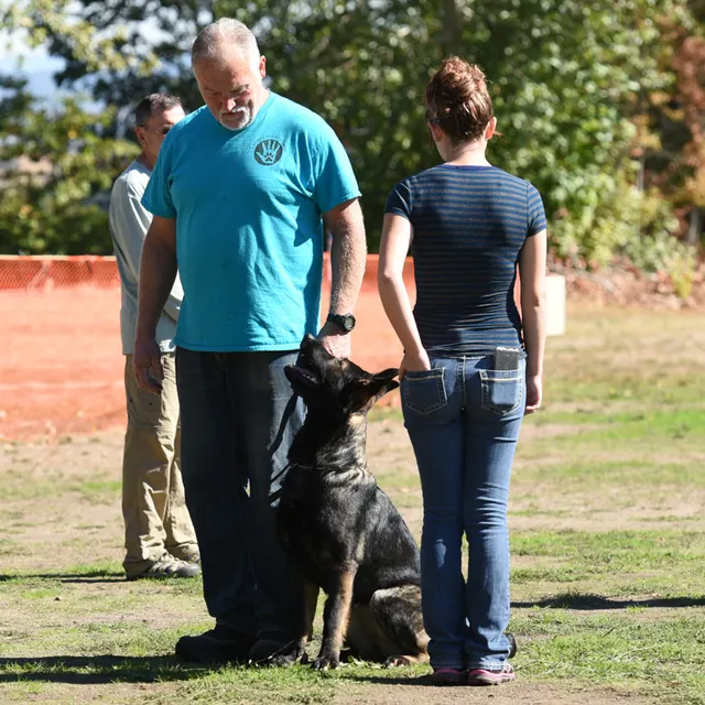 October 2016 Schutzhund Trial on October 8, 2016 — a handler and working dog being observed during obedience — photo 14