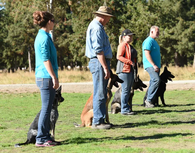 October 2016 Schutzhund Trial on October 8, 2016 — multiple handlers and working dogs lined up on the field — photo 12