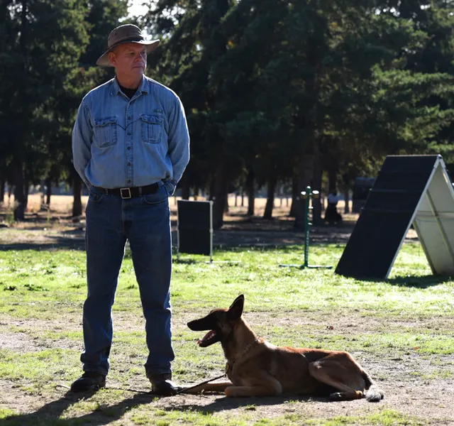 October 2016 Schutzhund Trial on October 8, 2016 — a working dog holding a down position beside the handler — photo 06