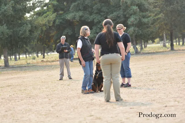 September 13, 2014 RVSC Schutzhund Trial — participants and club members during trial recognition and awards — photo 05