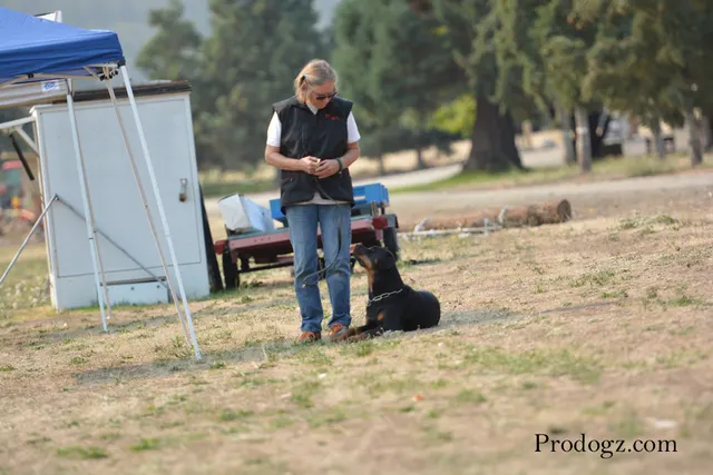 September 13, 2014 RVSC Schutzhund Trial — participants and club members during trial recognition and awards — photo 10