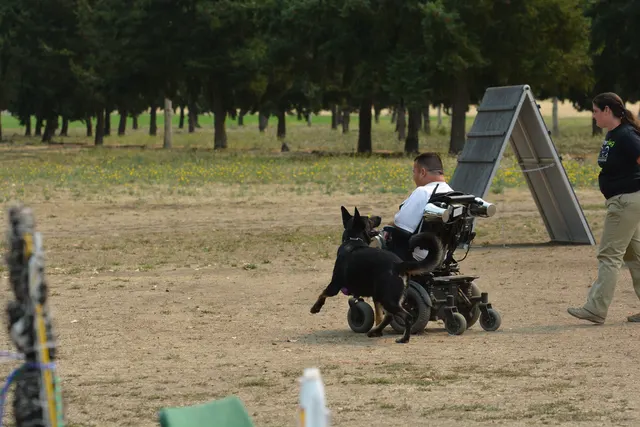 September 13, 2014 RVSC Schutzhund Trial — participants and club members during trial recognition and awards — photo 20