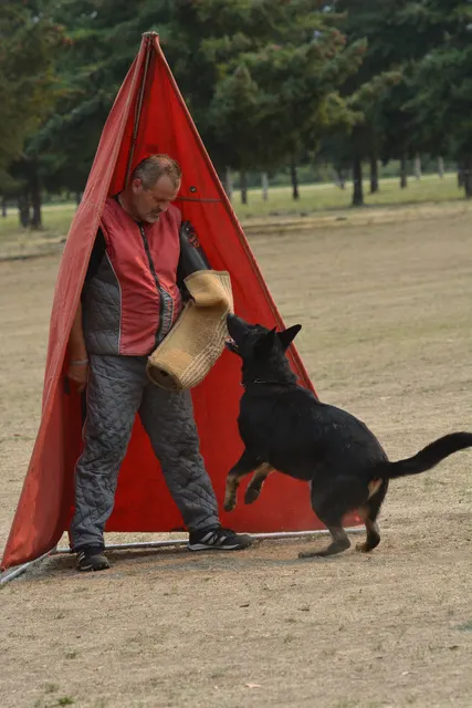 September 13, 2014 RVSC Schutzhund Trial — participants and club members during trial recognition and awards