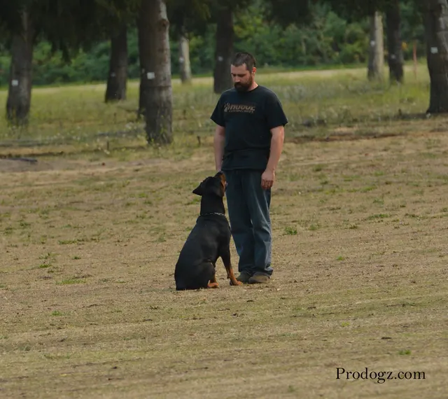 September 13, 2014 RVSC Schutzhund Trial — participants and club members during trial recognition and awards — photo 30