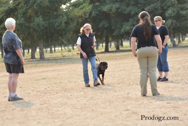 September 13, 2014 RVSC Schutzhund Trial — handlers, officials and spectators gathered around the trial field — photo 04