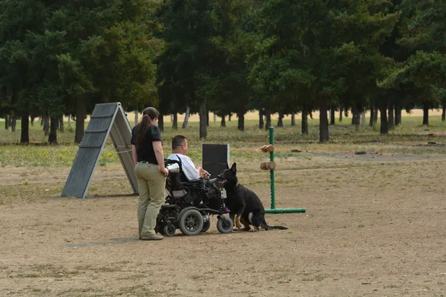 September 13, 2014 RVSC Schutzhund Trial — handlers, officials and spectators gathered around the trial field — photo 19