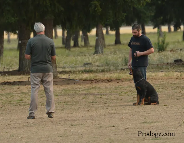 September 13, 2014 RVSC Schutzhund Trial — handlers, officials and spectators gathered around the trial field — photo 29
