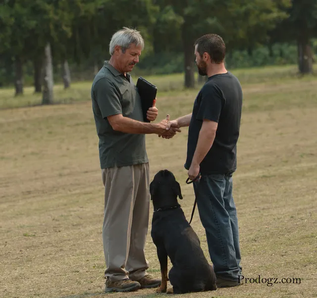 September 13, 2014 RVSC Schutzhund Trial — a working dog completing a scored field exercise — photo 32