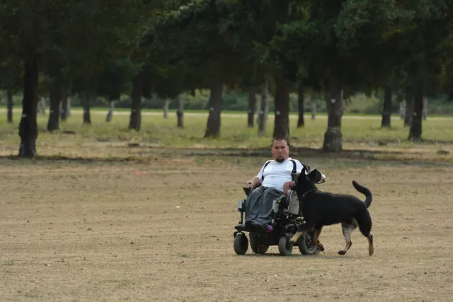 September 13, 2014 RVSC Schutzhund Trial — a working dog engaging the helper during the protection phase — photo 18