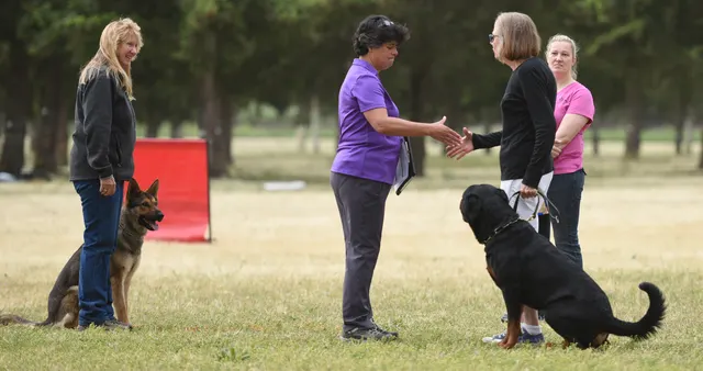 2016 RVSC Spring Schutzhund Trial — a working dog performing around a Schutzhund blind — photo 04