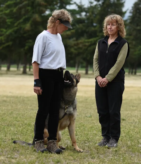 2016 RVSC Spring Schutzhund Trial — a handler maintaining control with a working dog on the trial field — photo 08