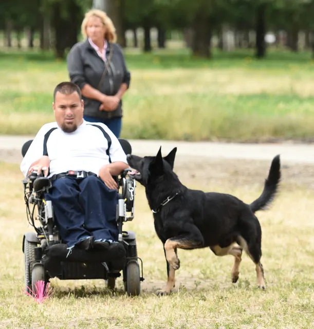 2016 RVSC Spring Schutzhund Trial — a handler maintaining control with a working dog on the trial field — photo 18