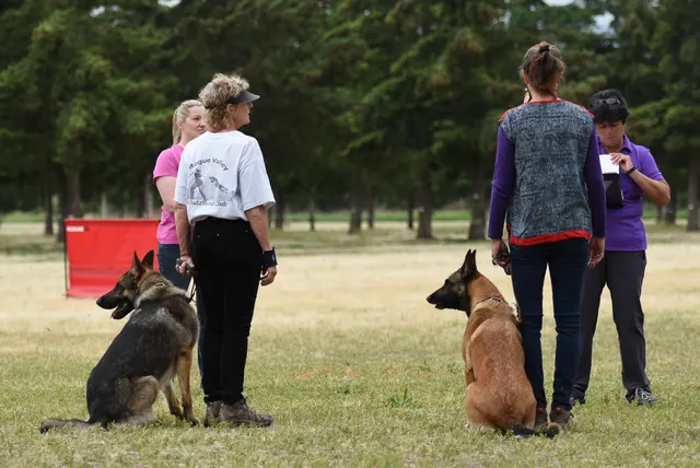 2016 RVSC Spring Schutzhund Trial — a dog-and-handler team performing a formal trial obedience exercise — photo 06