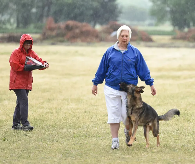 2016 RVSC Spring Schutzhund Trial — a dog-and-handler team performing a formal trial obedience exercise — photo 11