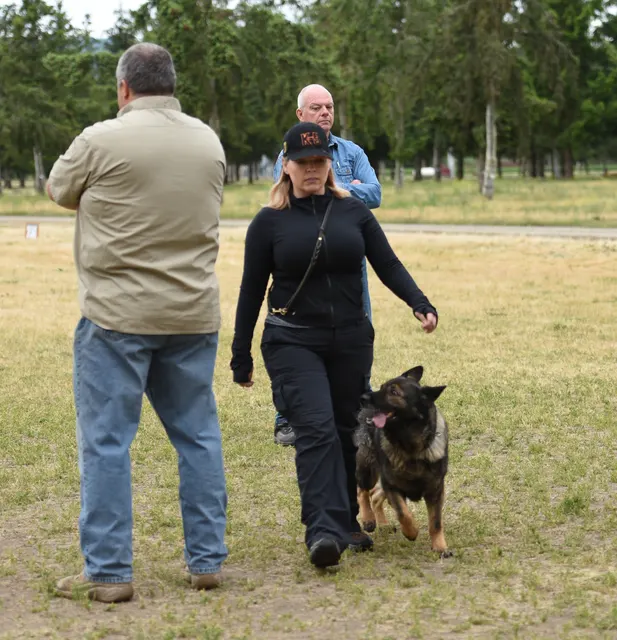 2016 RVSC Spring Schutzhund Trial — a dog-and-handler team performing a formal trial obedience exercise — photo 16