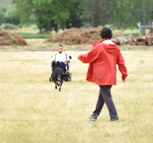 2016 RVSC Spring Schutzhund Trial — a dog-and-handler team performing a formal trial obedience exercise — photo 21