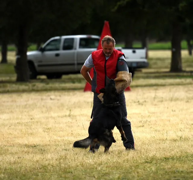 2016 RVSC Spring Schutzhund Trial — a dog-and-handler team performing a formal trial obedience exercise — photo 26