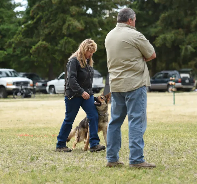 2016 RVSC Spring Schutzhund Trial — a working dog completing an obstacle or field exercise — photo 02